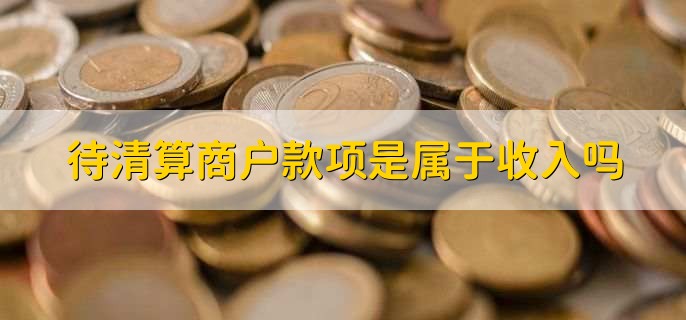 待清算商户款项是属于收入吗